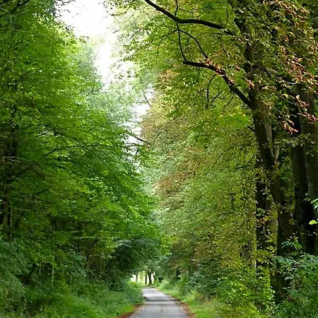 Otel Pfeffermuehle 3*