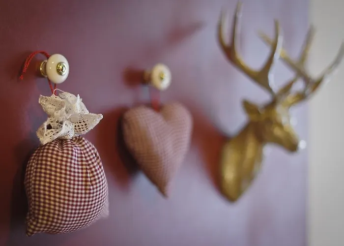 酒店 费佛姆尔酒店 博尔兴